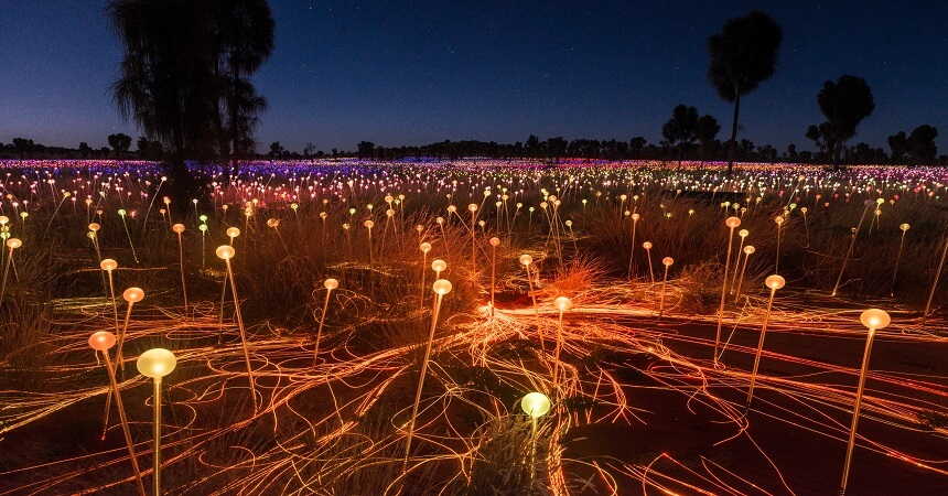 field of light glowing in the desert