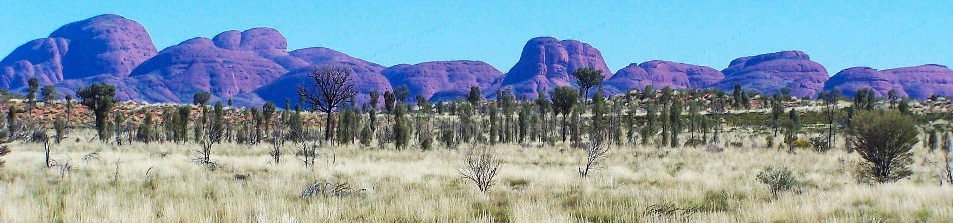 What else is there to do at Uluru Besides the Rock?